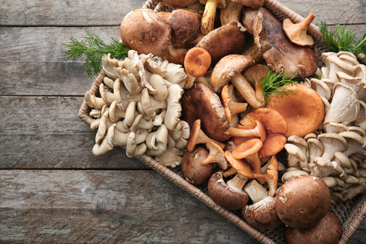 The Healing Effects of the 10 Mushroom Blend