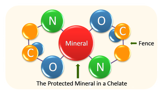 Chelated Minerals:What Are They & How They Help Us